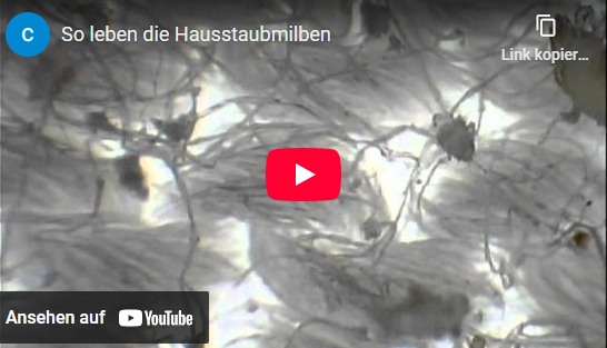 Video laden: