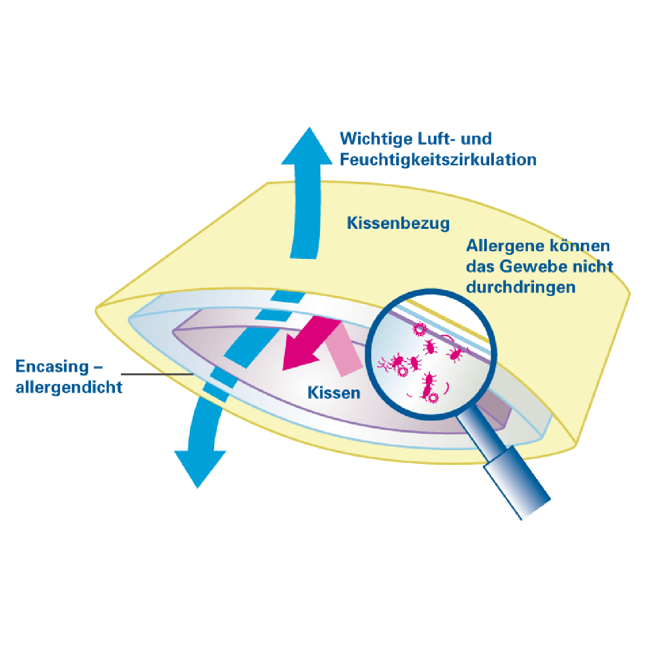 Softsan® Encasing für Kissen aus Bio Baumwolle | Schutzbezug für Allergiker - Softsan