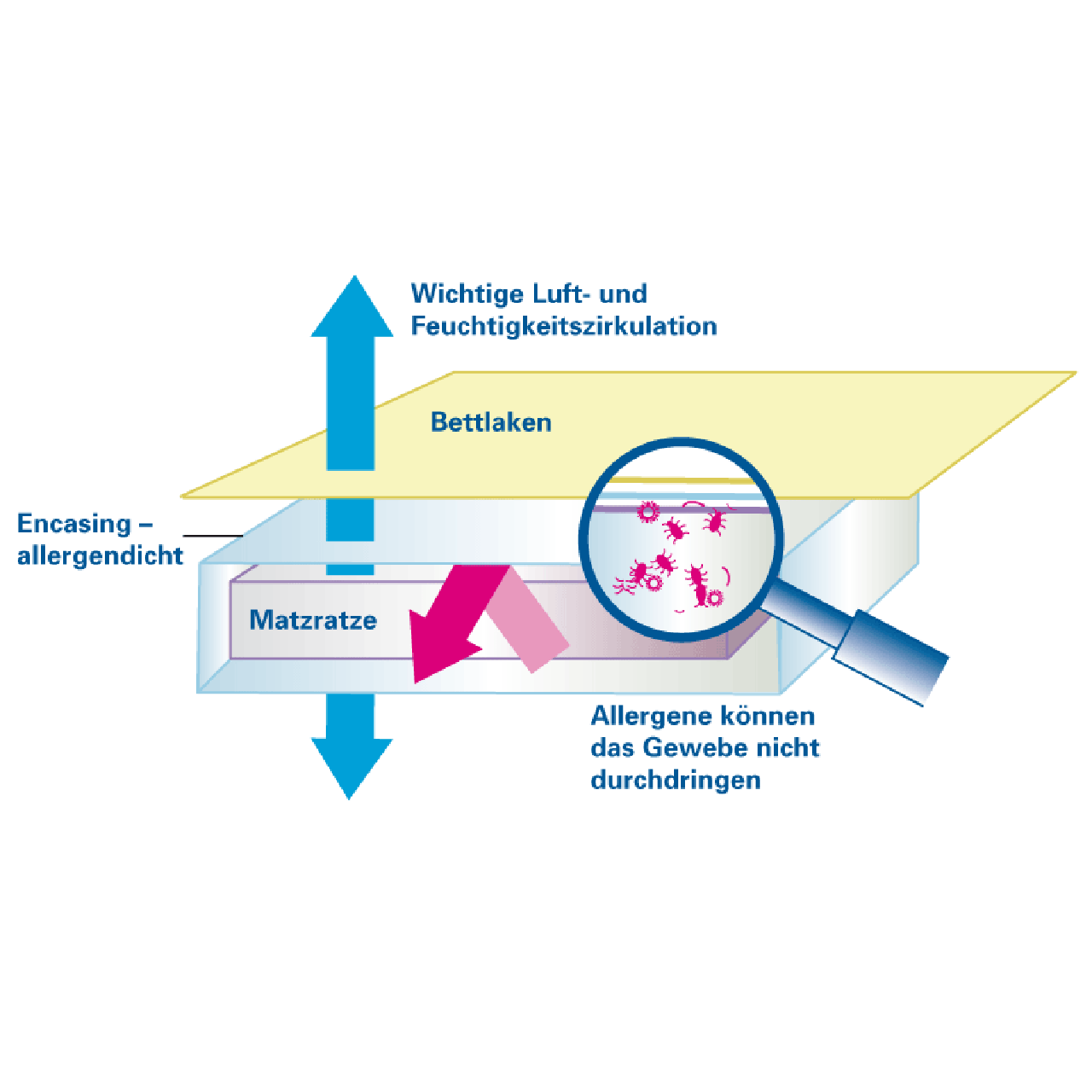 Softsan® Encasing für Matratzen aus Bio Baumwolle | Schutzbezug für Allergiker - Softsan