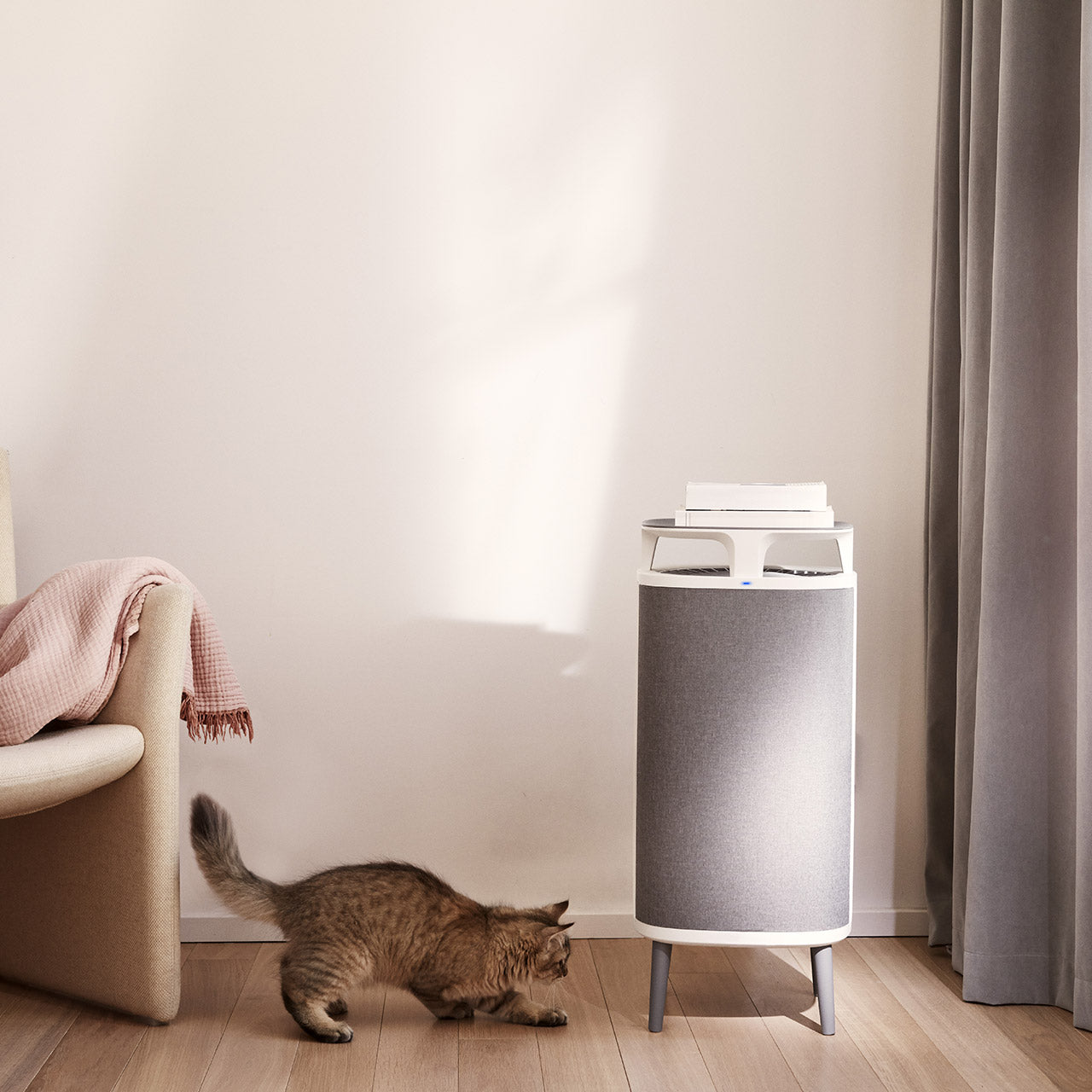 Blueair DustMagnet™ - Softsan