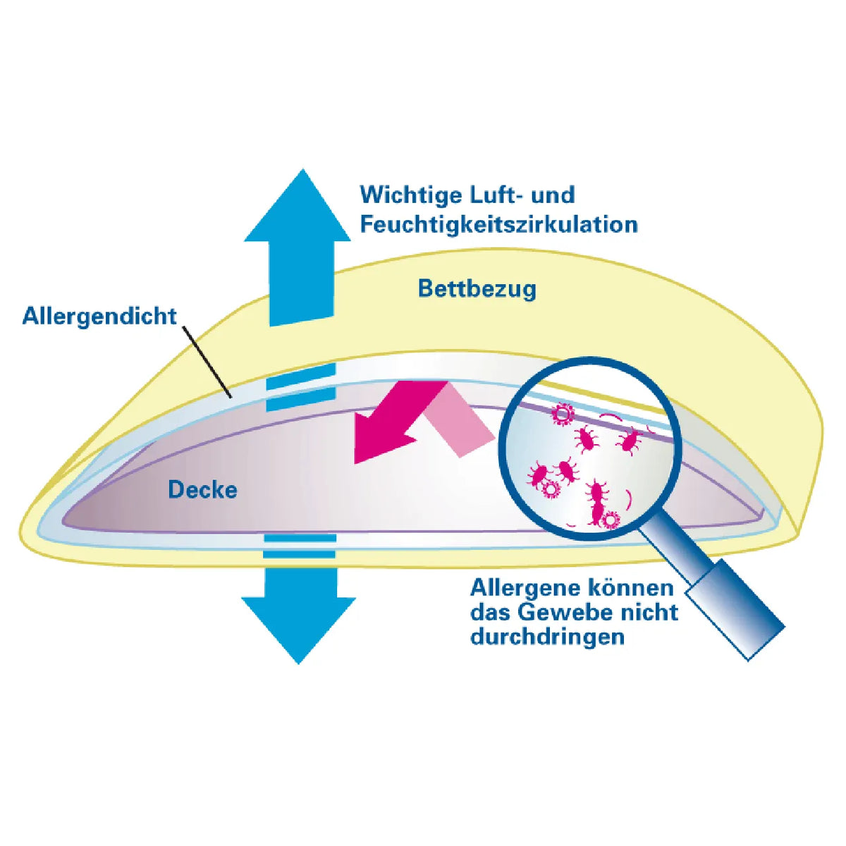 Grafik zur Funktion des Softsan Bio Cotton Encasings: allergendicht, aber luft- und feuchtigkeitsdurchlässig