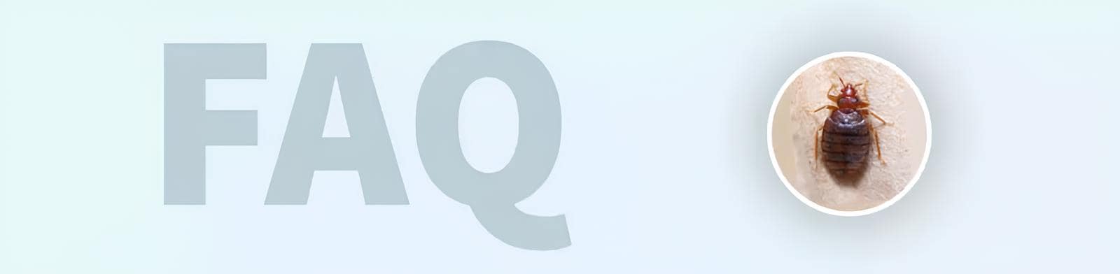 Softsan