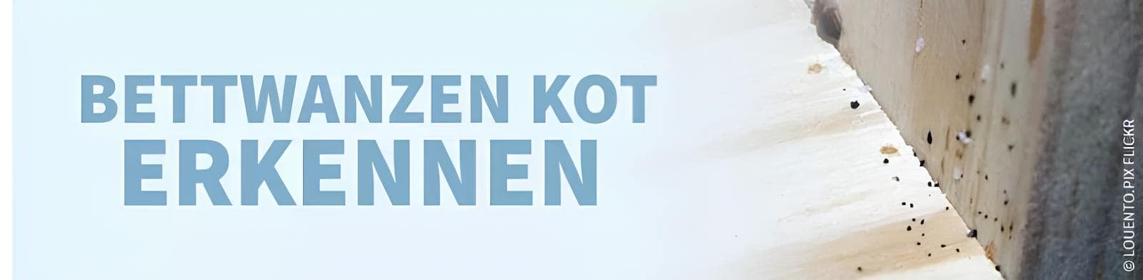 Softsan